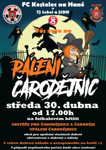 Pálení čarodejnic